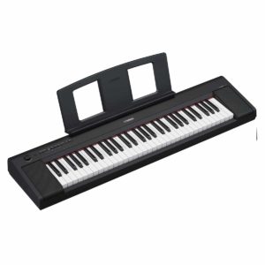 Yamaha NP-15 Piaggero 61-note Keyboard music rest