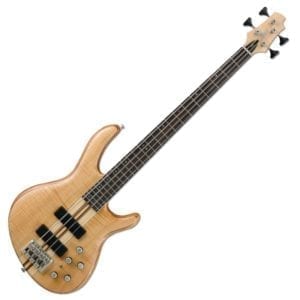 Cort Artisan A4 Bass