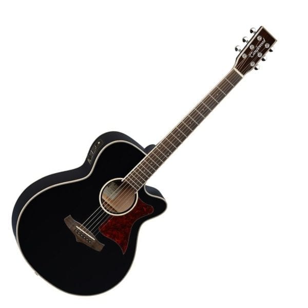 Tanglewood TW4 Winterleaf SuperFolk - Image 3