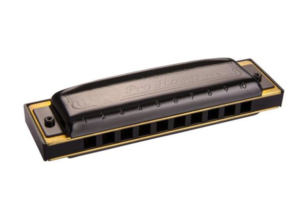 Hohner Pro Harp