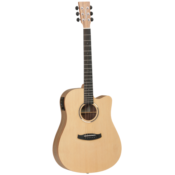 Tanglewood Discovery Exotic Hawaiian Rainwood Acoustic Guitars - Image 2