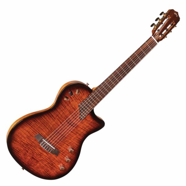 Cordoba stage fusion electric nylon string angle