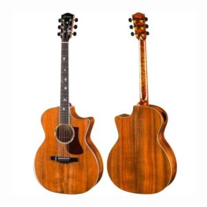 Acoustic Guitars