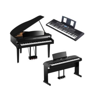 Pianos & Keyboards