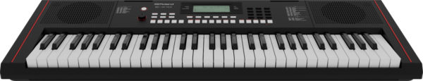 Roland E-X10 Portable Keyboard