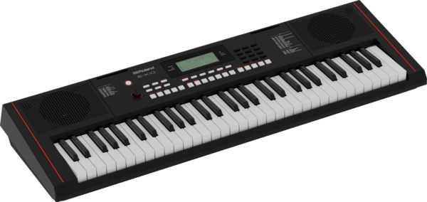 Roland E-X10 Portable Keyboard