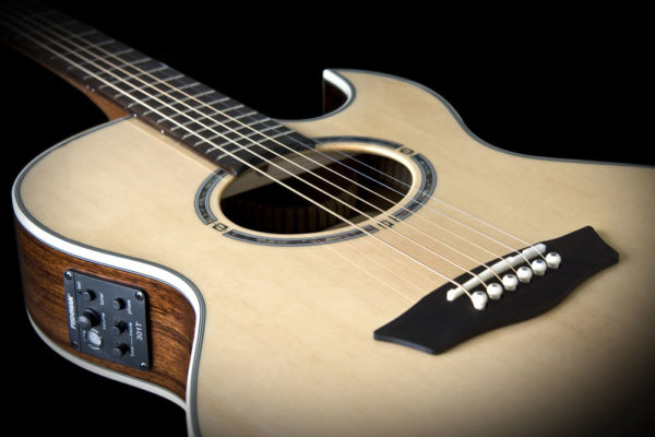 Washburn Nuno Bettencourt EA20S Festival Acoustic Guitar - Image 2