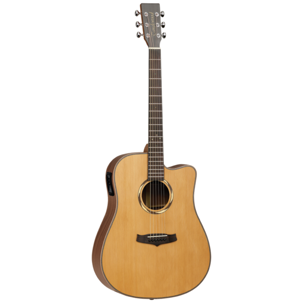 Tanglewood TD20DCE 20th Anniversary Acoustic Electric Guitar