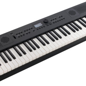 Roland GO:KEYS 5 Portable Keyboard Black