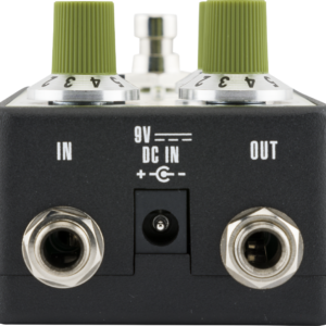 Fender Bassman Reverb