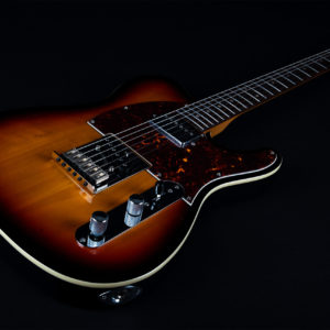 JET JT-350 Tele Style Electric Guitar Body Closeup