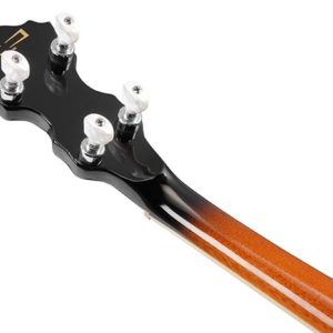 Ibanez B200 5-string Banjo