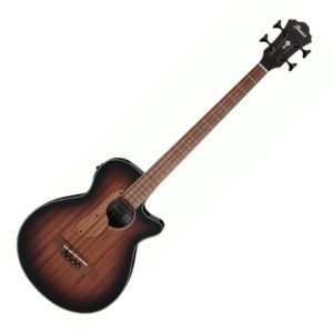 Ibanez AEGB24E-MHS Acoustic/Electric Bass Guitar