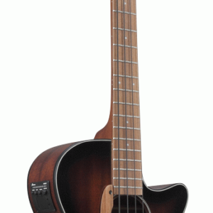 Ibanez AEGB24E-MHS Acoustic/Electric Bass Guitar
