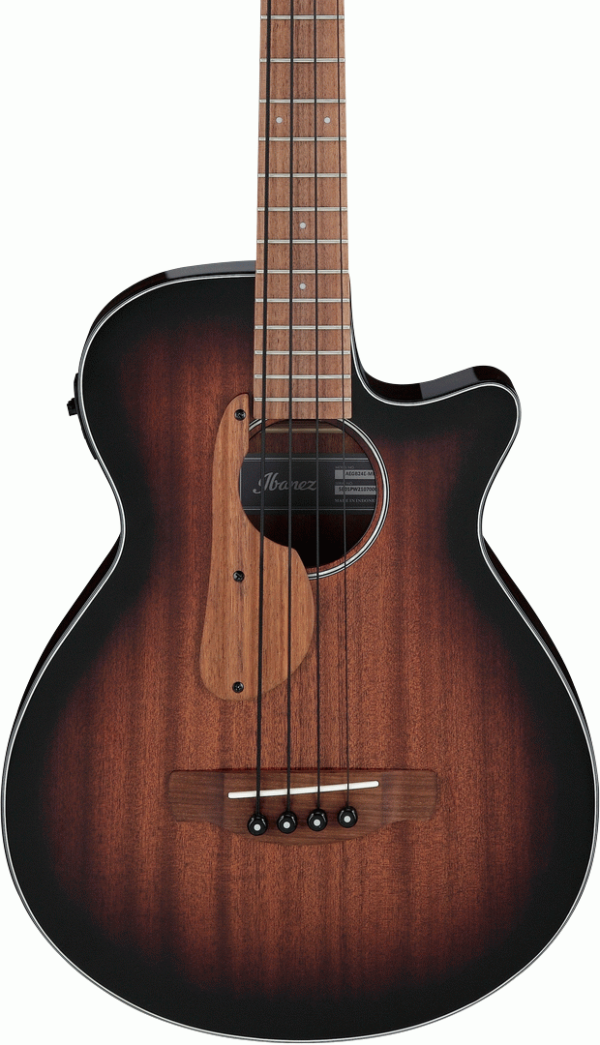 Ibanez AEGB24E-MHS Acoustic/Electric Bass Guitar