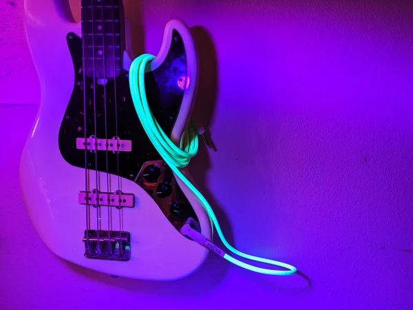 Pig Hog Glow In The Dark Woven Instrument Cables