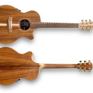 Cole Clark CCAN2EC-BLBL Angel Blackwood Acoustic/Electric Guitar